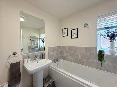 Picture 12
